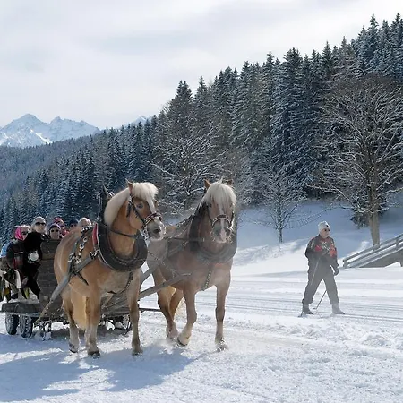 Oesterreich Apartamento Ramsau am Dachstein