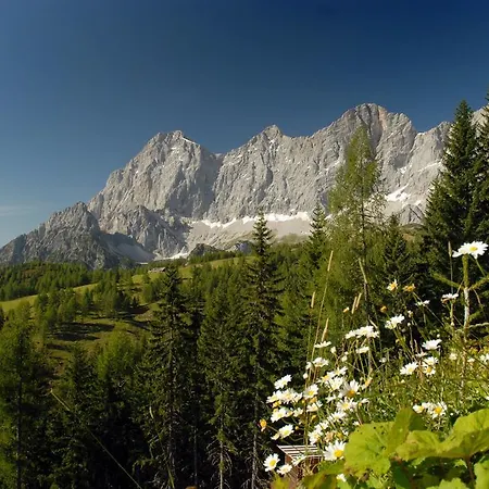 Oesterreich Inkl Sommercard