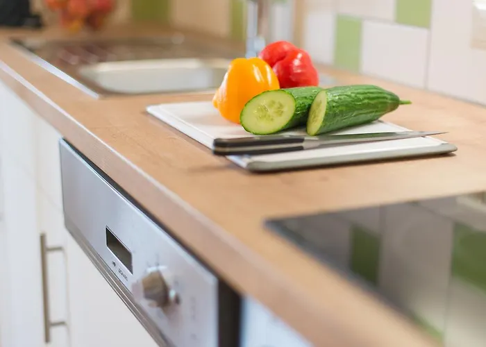 아파트 Oesterreich 람자우 암 다흐스타인